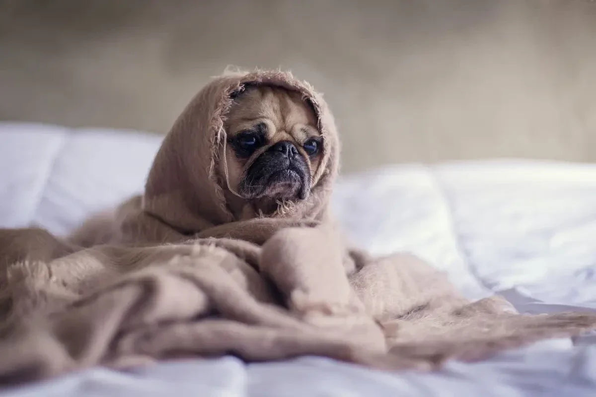 Les-avantages-d-une-veilleuse-bruit-blanc-pour-dormir-tranquille thyliennette