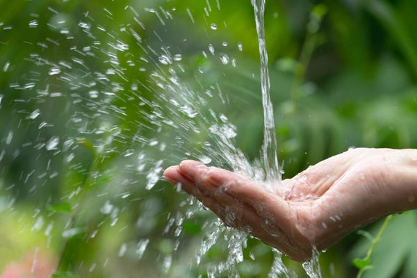 Un Corps Constitué d'Eau