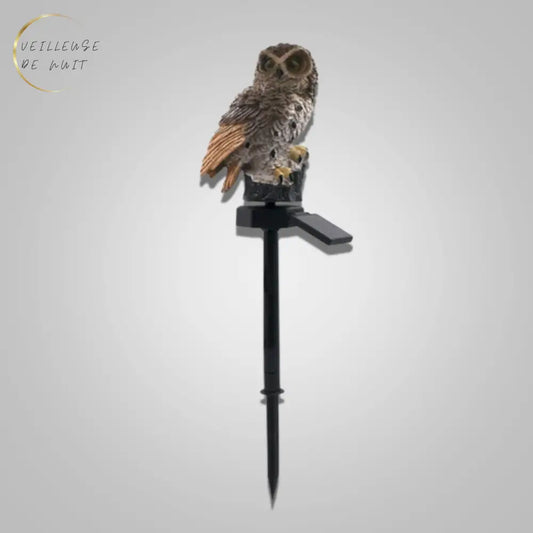 ​Lampe Harry Potter Halloween Marron I Veilleuse De Nuit