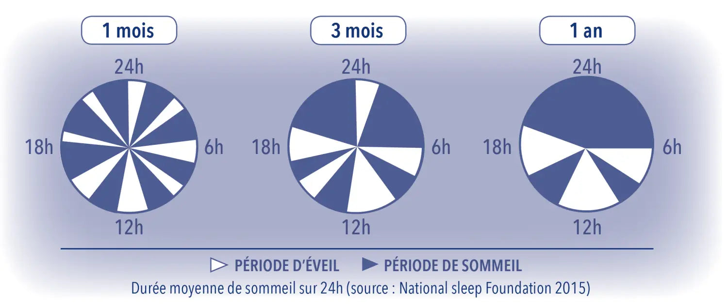 Rythme de sommeil des bébés